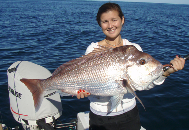 Fisho’s northern NSW road trip